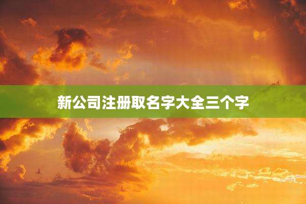 新公司注册取名字大全三个字