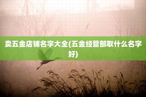 卖五金店铺名字大全(五金经营部取什么名字好)