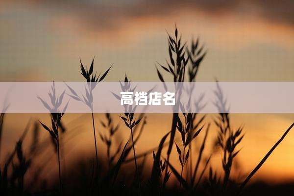 高档店名