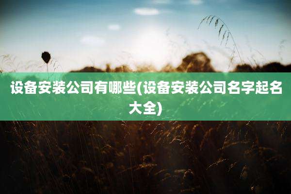设备安装公司有哪些(设备安装公司名字起名大全)