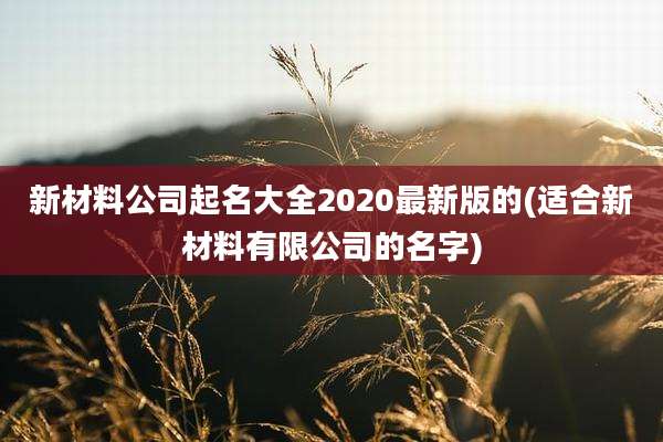 新材料公司起名大全2020最新版的(适合新材料有限公司的名字)
