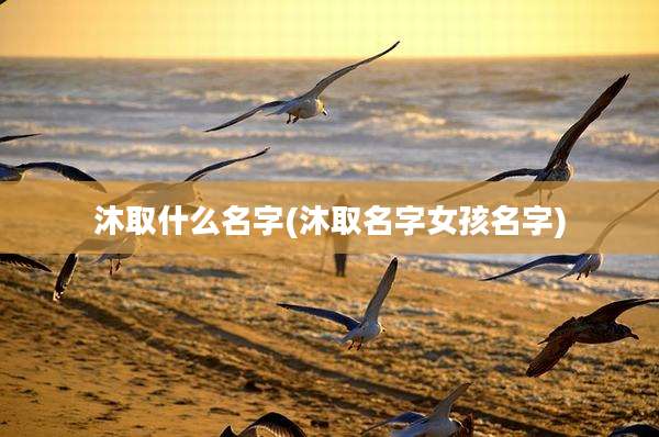 沐取什么名字(沐取名字女孩名字)