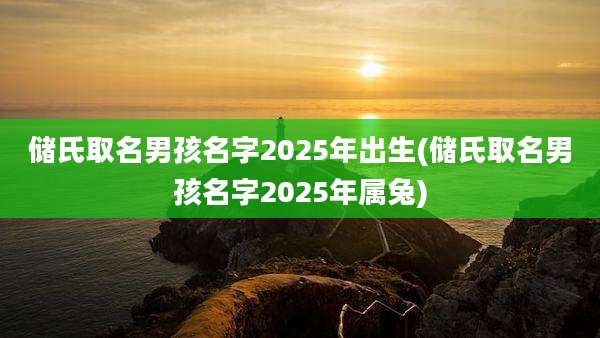 储氏取名男孩名字2025年出生(储氏取名男孩名字2025年属兔)