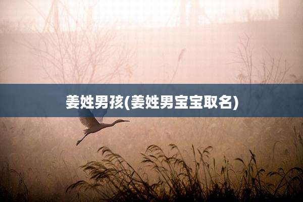 姜姓男孩(姜姓男宝宝取名)