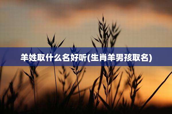 羊姓取什么名好听(生肖羊男孩取名)