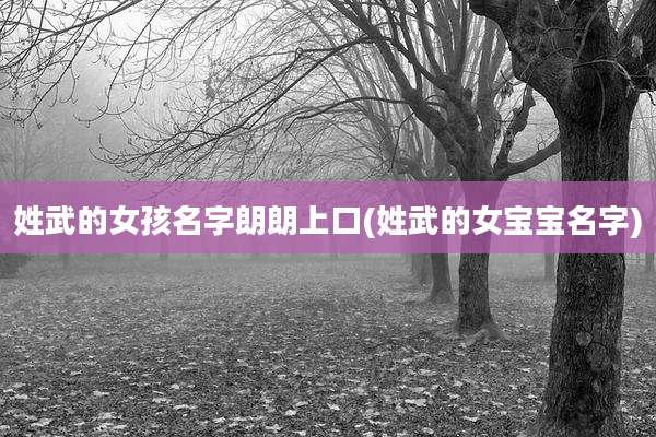 姓武的女孩名字朗朗上口(姓武的女宝宝名字)