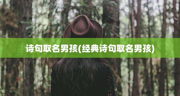 诗句取名男孩(经典诗句取名男孩)