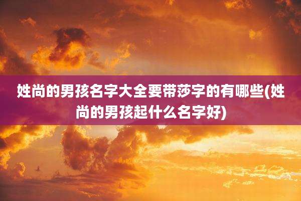 姓尚的男孩名字大全要带莎字的有哪些(姓尚的男孩起什么名字好)