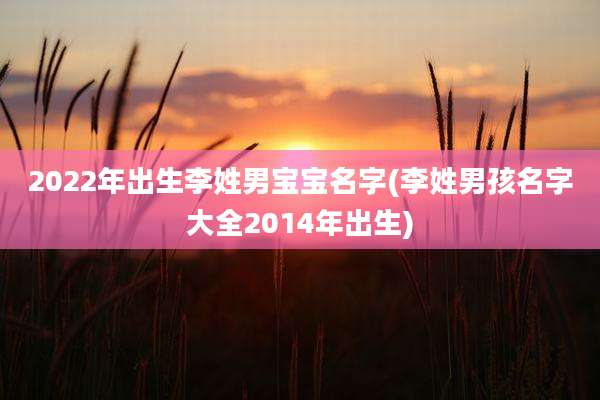 2022年出生李姓男宝宝名字(李姓男孩名字大全2014年出生)