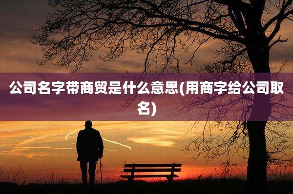 公司名字带商贸是什么意思(用商字给公司取名)