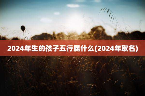 2024年生的孩子五行属什么(2024年取名)