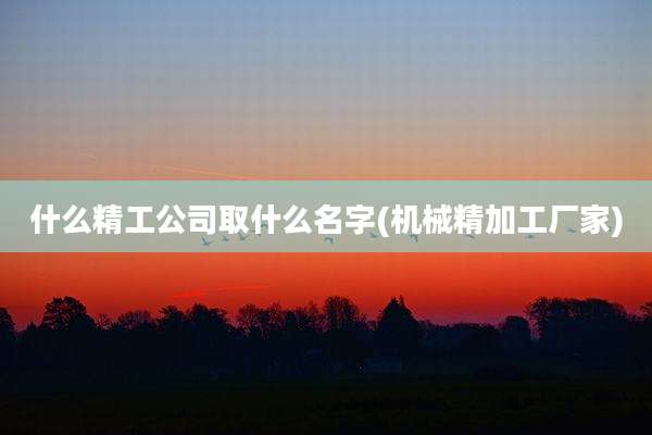 什么精工公司取什么名字(机械精加工厂家)