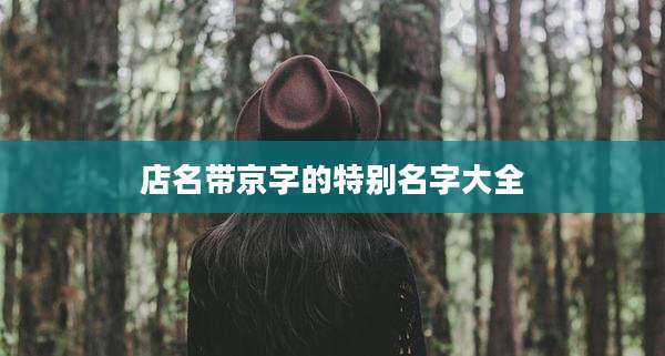 店名带京字的特别名字大全
