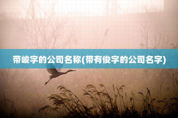 带峻字的公司名称(带有俊字的公司名字)
