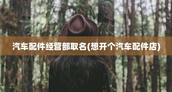 汽车配件经营部取名(想开个汽车配件店)