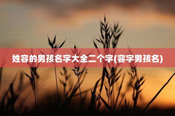 姓容的男孩名字大全二个字(容字男孩名)