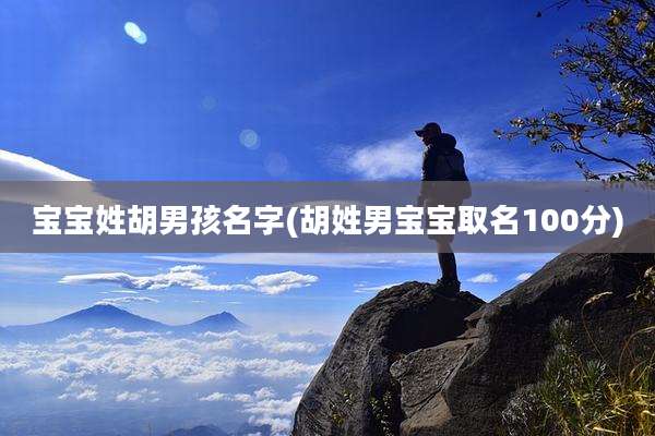 宝宝姓胡男孩名字(胡姓男宝宝取名100分)