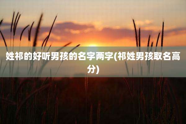 姓祁的好听男孩的名字两字(祁姓男孩取名高分)