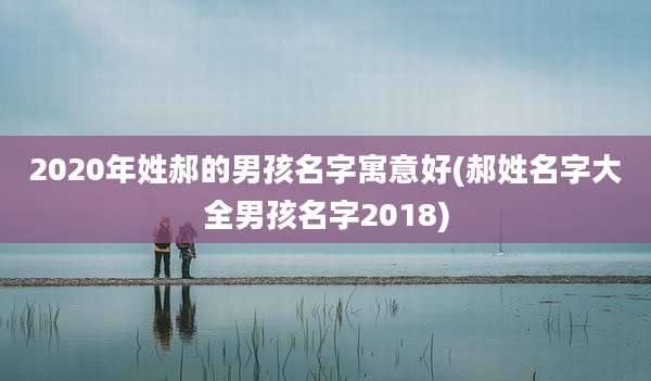 2020年姓郝的男孩名字寓意好(郝姓名字大全男孩名字2018)