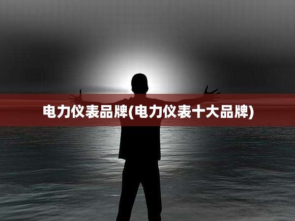 电力仪表品牌(电力仪表十大品牌)