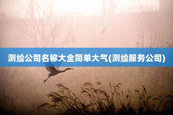测绘公司名称大全简单大气(测绘服务公司)