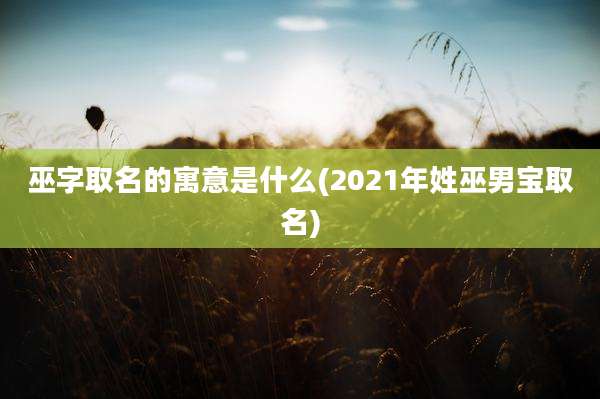 巫字取名的寓意是什么(2021年姓巫男宝取名)