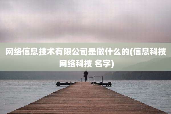 网络信息技术有限公司是做什么的(信息科技 网络科技 名字)