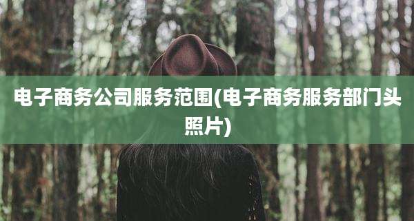 电子商务公司服务范围(电子商务服务部门头照片)