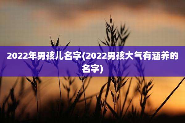 2022年男孩儿名字(2022男孩大气有涵养的名字)