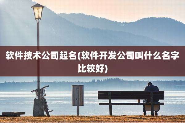 软件技术公司起名(软件开发公司叫什么名字比较好)
