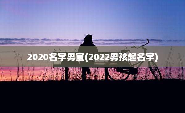 2020名字男宝(2022男孩起名字)