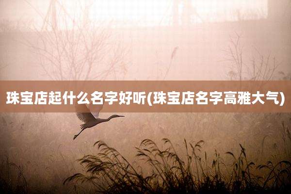 珠宝店起什么名字好听(珠宝店名字高雅大气)