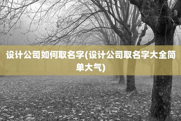 设计公司如何取名字(设计公司取名字大全简单大气)