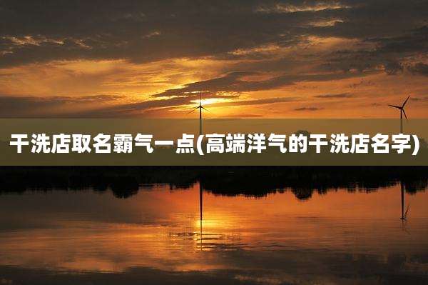 干洗店取名霸气一点(高端洋气的干洗店名字)