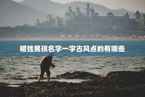 稽姓男孩名字一字古风点的有哪些