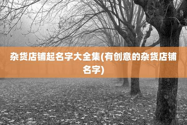 杂货店铺起名字大全集(有创意的杂货店铺名字)