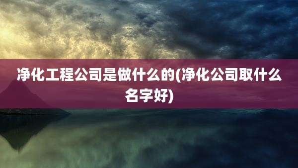 净化工程公司是做什么的(净化公司取什么名字好)