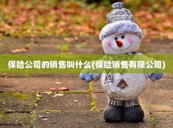 保险公司的销售叫什么(保险销售有限公司)