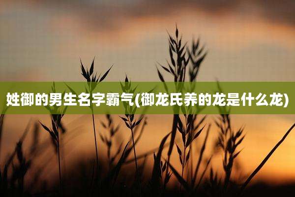 姓御的男生名字霸气(御龙氏养的龙是什么龙)