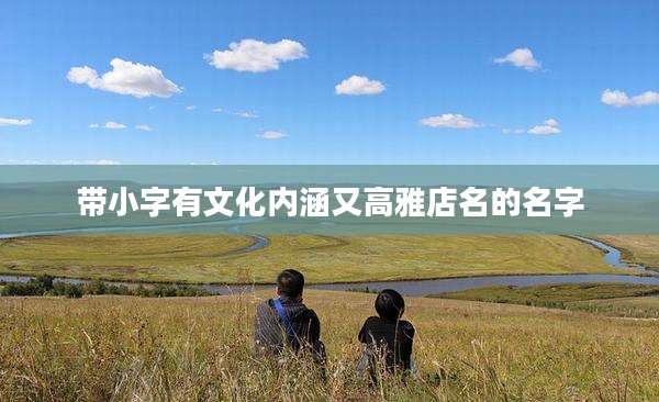 带小字有文化内涵又高雅店名的名字