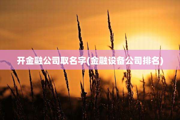 开金融公司取名字(金融设备公司排名)