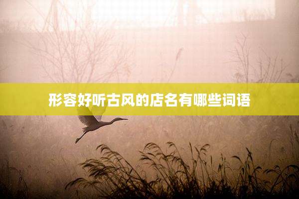 形容好听古风的店名有哪些词语