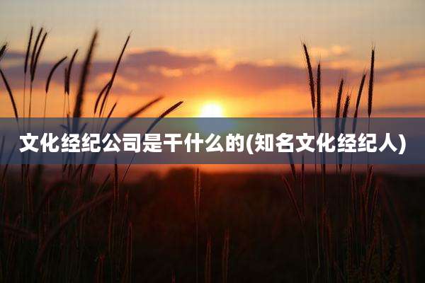 文化经纪公司是干什么的(知名文化经纪人)