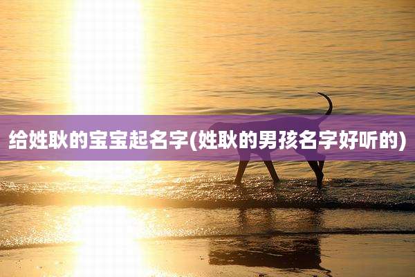 给姓耿的宝宝起名字(姓耿的男孩名字好听的)