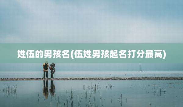 姓伍的男孩名(伍姓男孩起名打分最高)