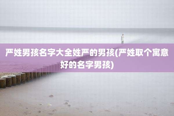 严姓男孩名字大全姓严的男孩(严姓取个寓意好的名字男孩)