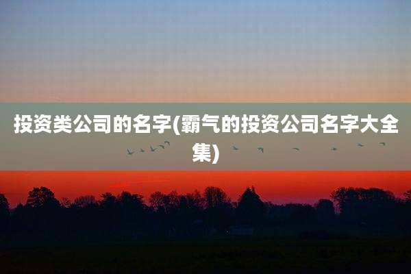 投资类公司的名字(霸气的投资公司名字大全集)