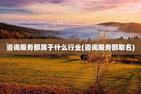 咨询服务部属于什么行业(咨询服务部取名)