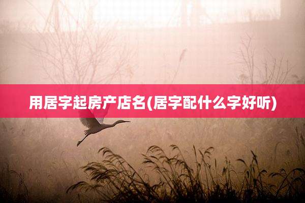 用居字起房产店名(居字配什么字好听)