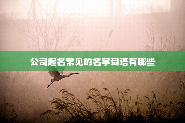 公司起名常见的名字词语有哪些